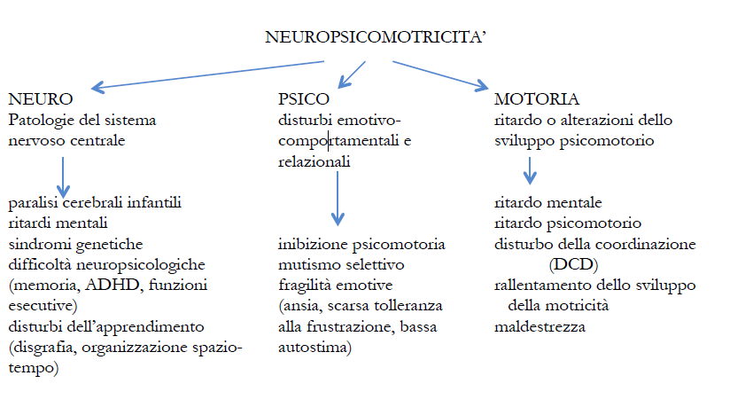 schema NEUROPSICOMOTRICITÀ